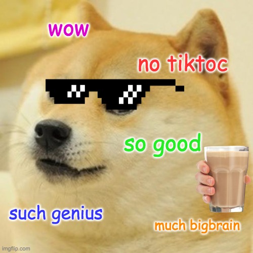 Doge Meme | wow no tiktoc so good such genius much bigbrain | image tagged in memes,doge | made w/ Imgflip meme maker