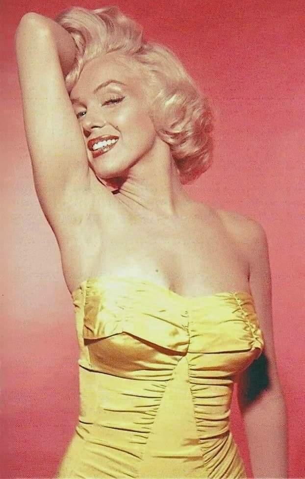 Marilyn Monroe boobs Blank Meme Template