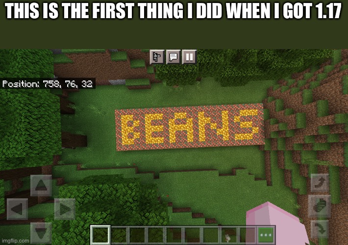 beans | THIS IS THE FIRST THING I DID WHEN I GOT 1.17 | image tagged in minecraft,beans | made w/ Imgflip meme maker