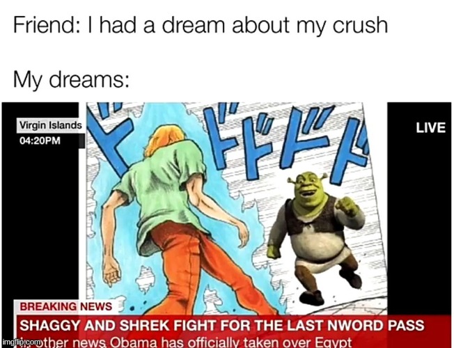number 10 | image tagged in shrek,shaggy | made w/ Imgflip meme maker