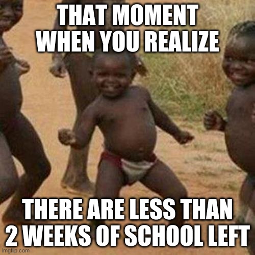 Finally!!! | THAT MOMENT WHEN YOU REALIZE; THERE ARE LESS THAN 2 WEEKS OF SCHOOL LEFT | image tagged in memes,third world success kid | made w/ Imgflip meme maker