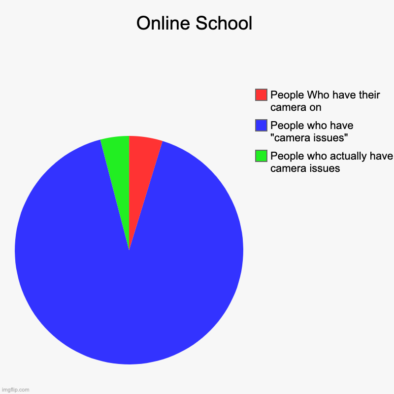 Online School | Online School | People who actually have camera issues, People who have "camera issues", People Who have their camera on | image tagged in charts,pie charts | made w/ Imgflip chart maker