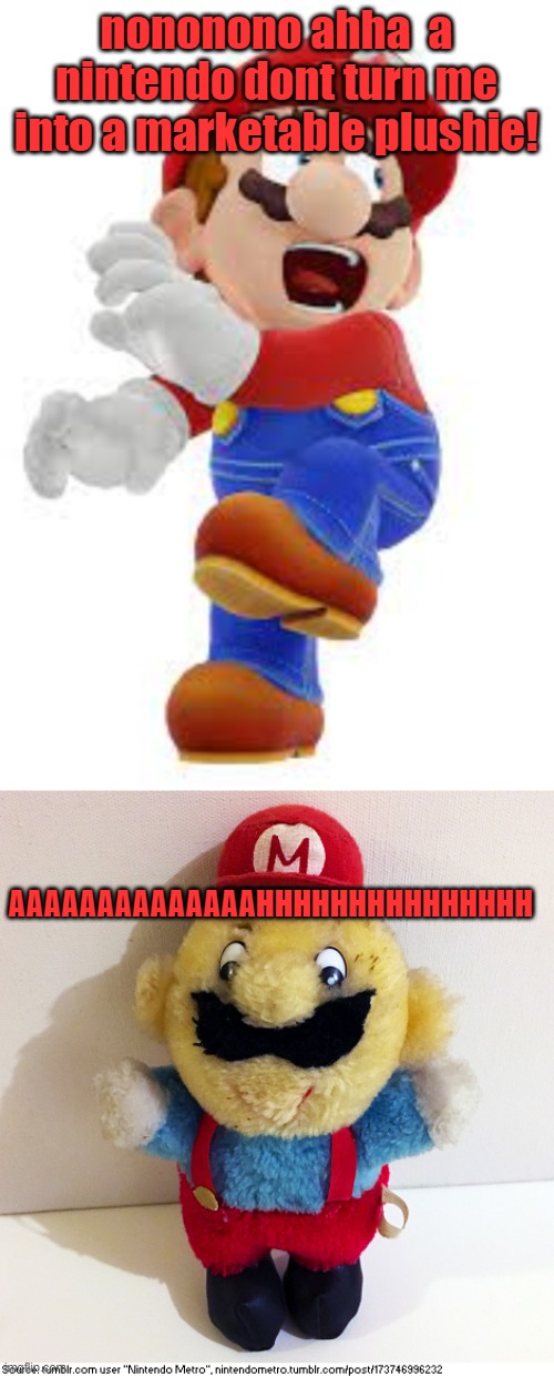 oh no | nononono ahha  a nintendo dont turn me into a marketable plushie! AAAAAAAAAAAAAAHHHHHHHHHHHHHHH | image tagged in mario,nintendo | made w/ Imgflip meme maker