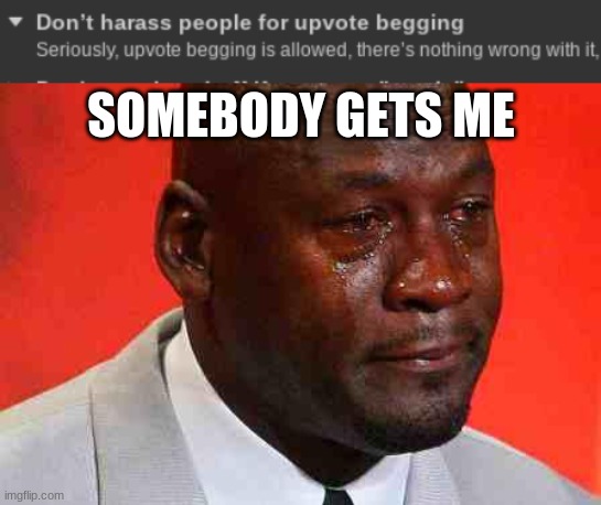 WOW. BEST RULE EVER | SOMEBODY GETS ME | image tagged in crying michael jordan,rule,best rule,ever,upvote begging | made w/ Imgflip meme maker