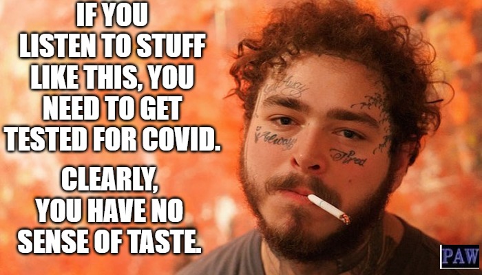 Taste | IF YOU LISTEN TO STUFF LIKE THIS, YOU NEED TO GET TESTED FOR COVID. CLEARLY, YOU HAVE NO SENSE OF TASTE. | image tagged in funny,music,covid | made w/ Imgflip meme maker