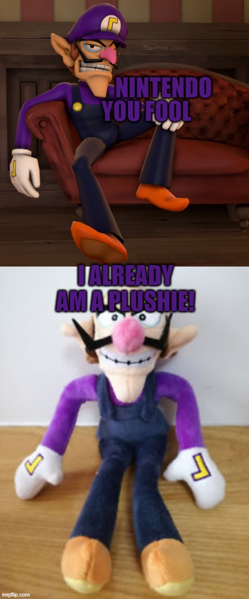 oh no | NINTENDO; YOU FOOL; I ALREADY AM A PLUSHIE! | image tagged in waluigi,nintendo | made w/ Imgflip meme maker