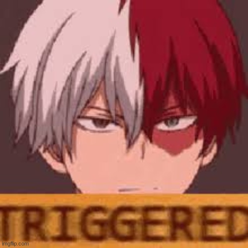 triggered todoroki | image tagged in triggered todoroki | made w/ Imgflip meme maker