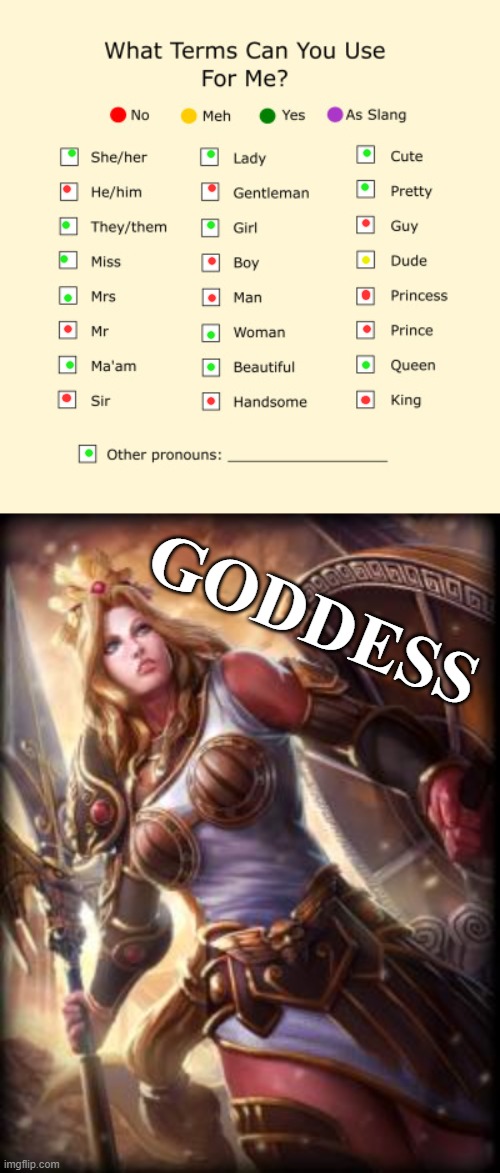 I'm not that wise though | GODDESS | image tagged in pronouns sheet,athena,transgender | made w/ Imgflip meme maker
