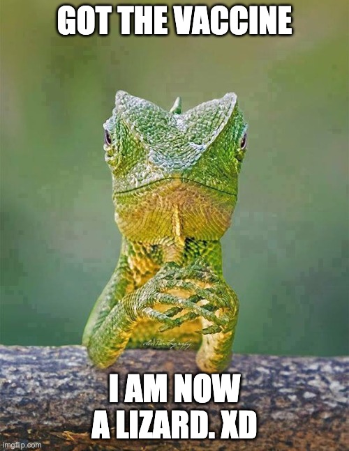 Sarcastic Lizard | GOT THE VACCINE; I AM NOW A LIZARD. XD | image tagged in sarcastic lizard | made w/ Imgflip meme maker