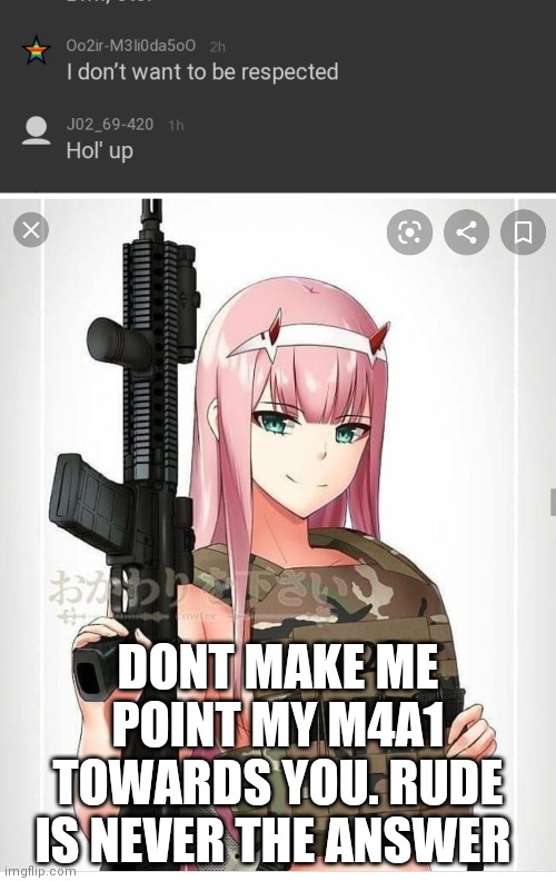 What in the hot, crispy, kentucky fried f*ck | DONT MAKE ME POINT MY M4A1 TOWARDS YOU. RUDE IS NEVER THE ANSWER | image tagged in 2nd amendment zero two,hold up | made w/ Imgflip meme maker