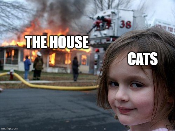 Disaster Girl | CATS; THE HOUSE | image tagged in memes,disaster girl | made w/ Imgflip meme maker