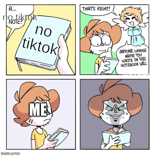 bye bye | no tiktok; no tiktok; not be a tiktoker; ME | image tagged in a __ note | made w/ Imgflip meme maker