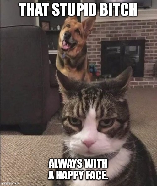 Angry Cat Happy Dog | THAT STUPID BITCH; ALWAYS WITH A HAPPY FACE. | image tagged in angry cat happy dog | made w/ Imgflip meme maker