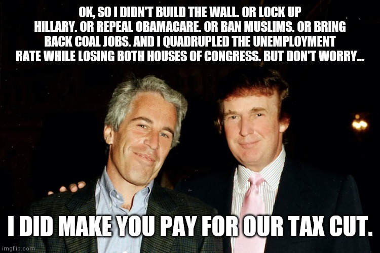 Mission accomplished | OK, SO I DIDN'T BUILD THE WALL. OR LOCK UP HILLARY. OR REPEAL OBAMACARE. OR BAN MUSLIMS. OR BRING BACK COAL JOBS. AND I QUADRUPLED THE UNEMPLOYMENT RATE WHILE LOSING BOTH HOUSES OF CONGRESS. BUT DON'T WORRY... I DID MAKE YOU PAY FOR OUR TAX CUT. | image tagged in donald trump | made w/ Imgflip meme maker