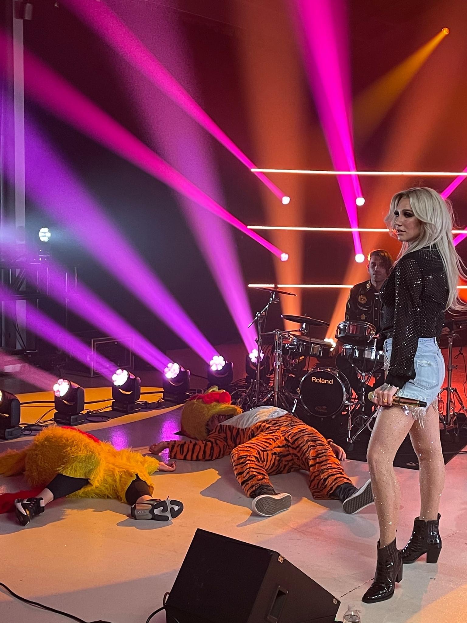 High Quality Kesha stage animals Blank Meme Template