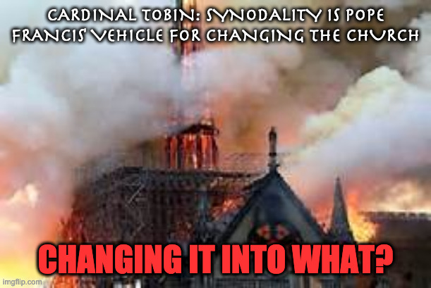 Notre Dame Church Burn | CARDINAL TOBIN: SYNODALITY IS POPE FRANCIS' VEHICLE FOR CHANGING THE CHURCH; CHANGING IT INTO WHAT? | image tagged in notre dame church burn | made w/ Imgflip meme maker