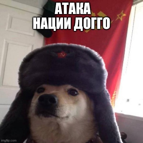 Russian Doge | АТАКА НАЦИИ ДОГГО | image tagged in russian doge | made w/ Imgflip meme maker