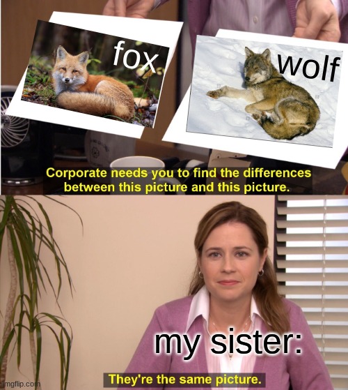 i mean..i guess they have look alikes but my sister didn't get the memo. | fox; wolf; my sister: | image tagged in memes,they're the same picture,so true | made w/ Imgflip meme maker
