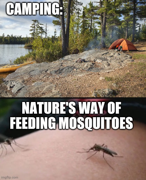 EVERY YEAR IT'S THE SAME | CAMPING:; NATURE'S WAY OF FEEDING MOSQUITOES | image tagged in camping,campfire,camp,mosquitoes | made w/ Imgflip meme maker