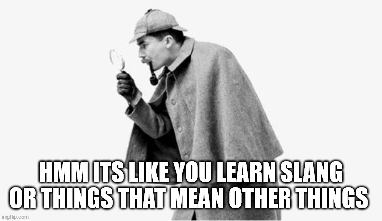 no shit sherlock  | HMM ITS LIKE YOU LEARN SLANG OR THINGS THAT MEAN OTHER THINGS | image tagged in no shit sherlock | made w/ Imgflip meme maker
