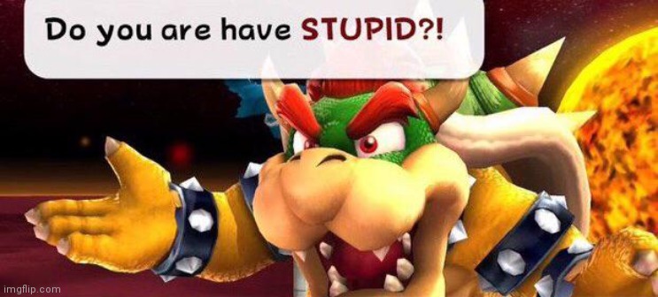 Bowser Do you are have stupid | image tagged in bowser do you are have stupid | made w/ Imgflip meme maker