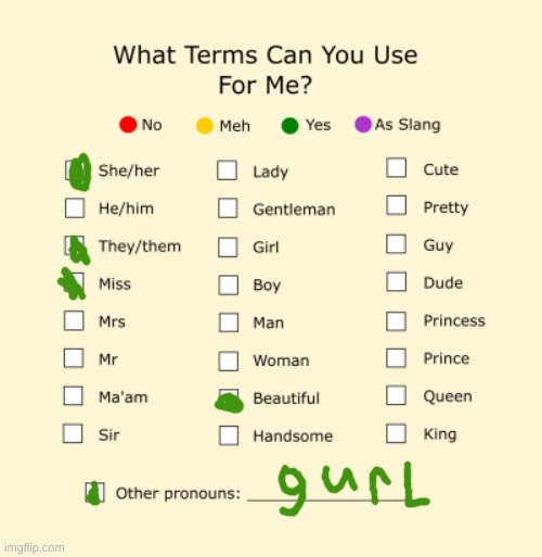 I am considered a she/her but I don't mind being called they/them. | image tagged in pronouns sheet | made w/ Imgflip meme maker