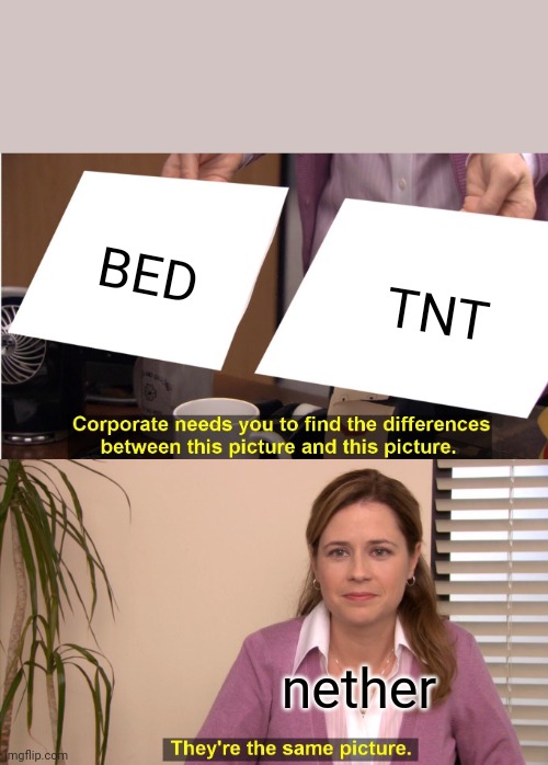 They're The Same Picture Meme | BED; TNT; nether | image tagged in memes,they're the same picture | made w/ Imgflip meme maker