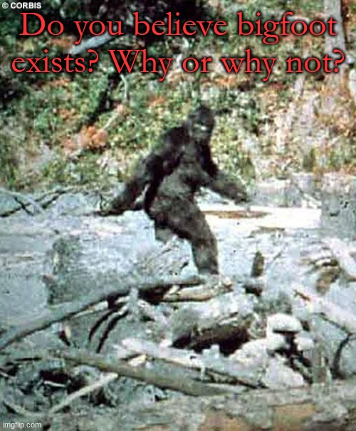 Question time | Do you believe bigfoot exists? Why or why not? | image tagged in bigfoot,unpopular opinion puffin,honey whats wrong,proof | made w/ Imgflip meme maker