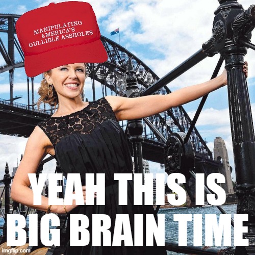 Libtrads can't meme... see????? | YEAH THIS IS BIG BRAIN TIME | image tagged in maga kylie sydney bridge | made w/ Imgflip meme maker