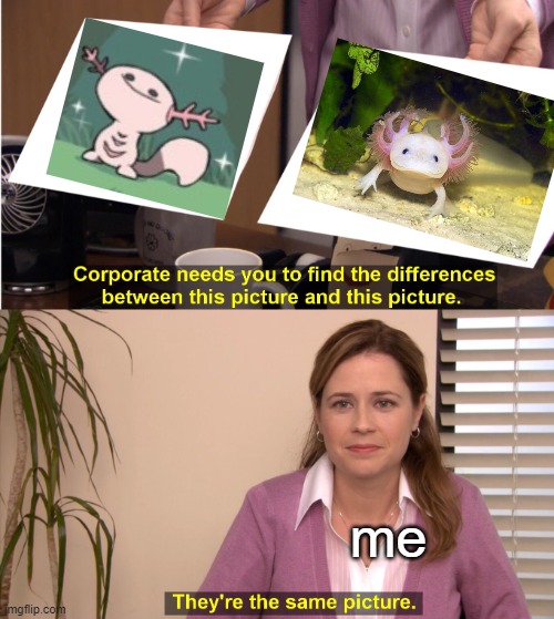there the same image | me | image tagged in there the same image | made w/ Imgflip meme maker