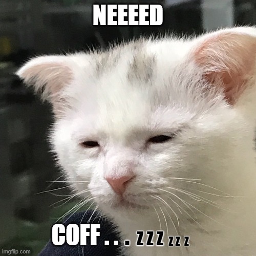 Too late | NEEEED; . COFF . . Z Z Z; Z Z  Z | image tagged in sleepy,coffee addict,need,coffee,cats | made w/ Imgflip meme maker