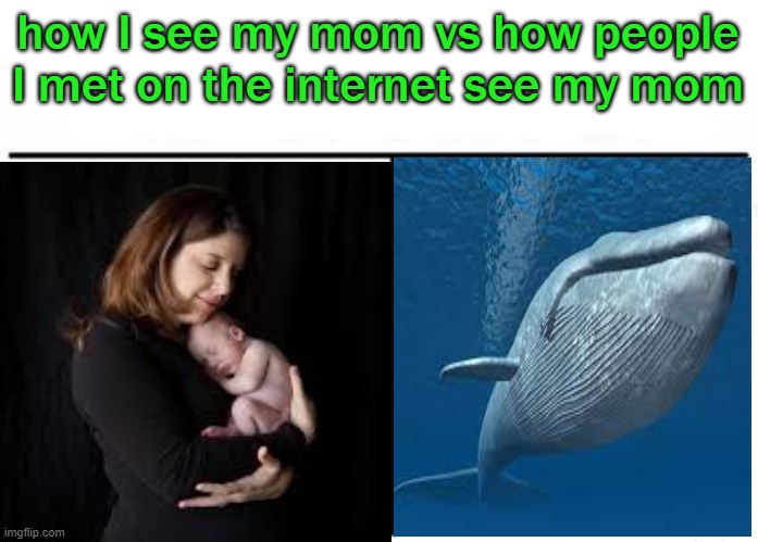 Ur mom | how I see my mom vs how people I met on the internet see my mom | image tagged in who would win blank,ur mom,internet,whale | made w/ Imgflip meme maker