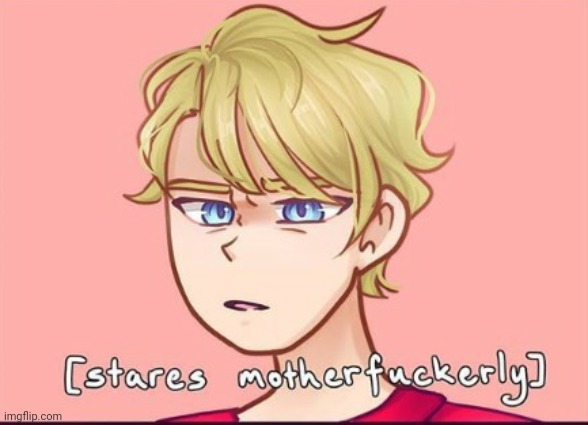 Stares motherfuckerly | image tagged in stares motherfuckerly | made w/ Imgflip meme maker