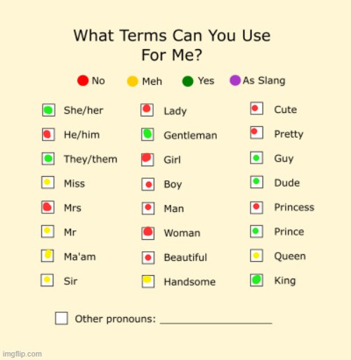 idk | image tagged in pronouns sheet,lgbtq,pride,words | made w/ Imgflip meme maker