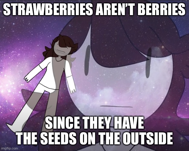 Galaxy Jaiden | STRAWBERRIES AREN’T BERRIES; SINCE THEY HAVE THE SEEDS ON THE OUTSIDE | image tagged in galaxy jaiden | made w/ Imgflip meme maker