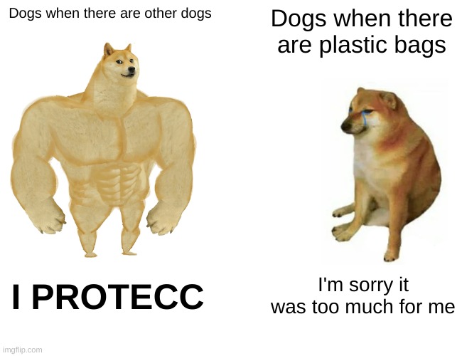 When doge | Dogs when there are other dogs; Dogs when there are plastic bags; I PROTECC; I'm sorry it was too much for me | image tagged in memes,buff doge vs cheems | made w/ Imgflip meme maker