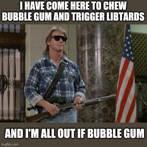 They Live | I HAVE COME HERE TO CHEW BUBBLE GUM AND TRIGGER LIBTARDS; AND I'M ALL OUT IF BUBBLE GUM | image tagged in they live | made w/ Imgflip meme maker