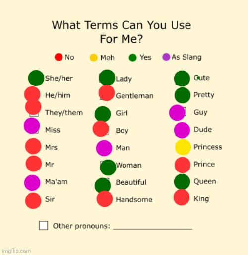 Pronouns Sheet | image tagged in pronouns sheet | made w/ Imgflip meme maker