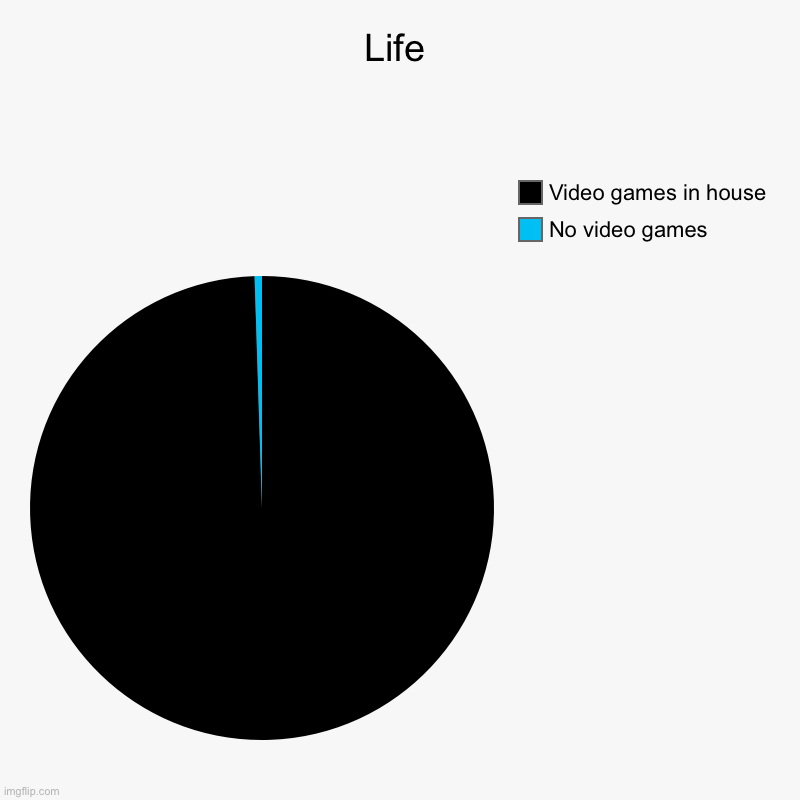 Life | No video games , Video games in house | image tagged in charts,pie charts | made w/ Imgflip chart maker