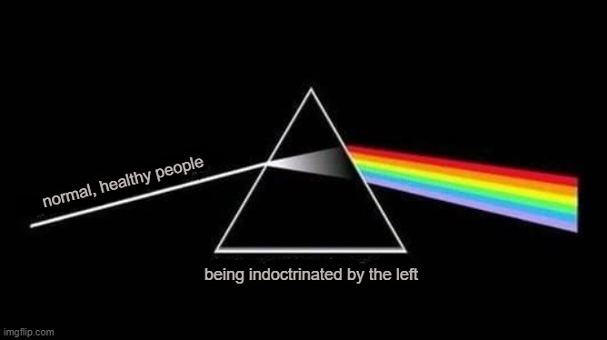 Political Spectrum | normal, healthy people; being indoctrinated by the left | image tagged in left,right | made w/ Imgflip meme maker