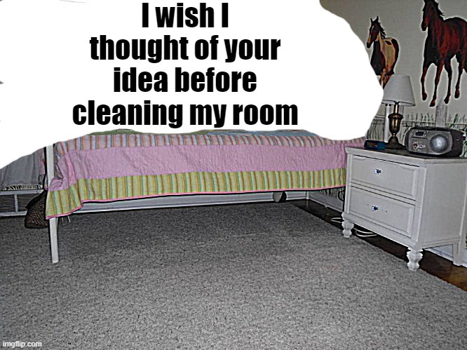 I wish I thought of your idea before cleaning my room | made w/ Imgflip meme maker