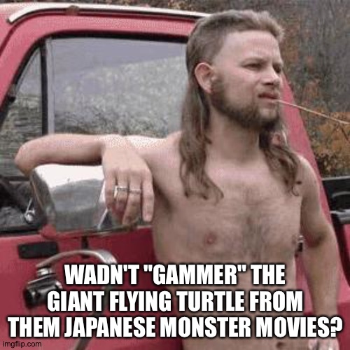 almost redneck | WADN'T "GAMMER" THE GIANT FLYING TURTLE FROM THEM JAPANESE MONSTER MOVIES? | image tagged in almost redneck | made w/ Imgflip meme maker