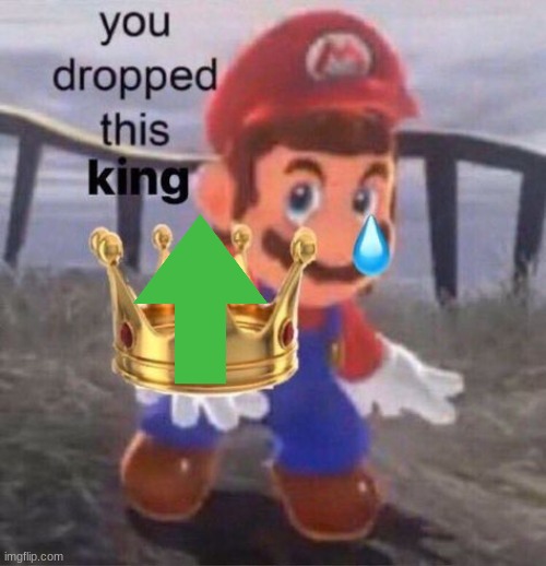 Mario you dropped this king | image tagged in mario you dropped this king | made w/ Imgflip meme maker