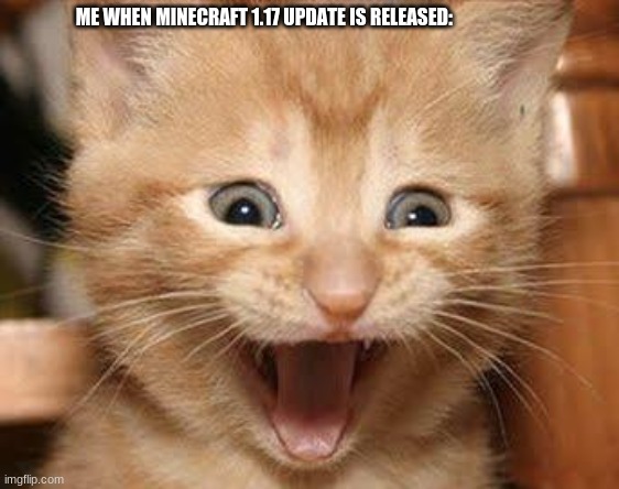 i'm soo hyped about the 1.17 part 1 & part 2 |  ME WHEN MINECRAFT 1.17 UPDATE IS RELEASED: | image tagged in memes,excited cat | made w/ Imgflip meme maker