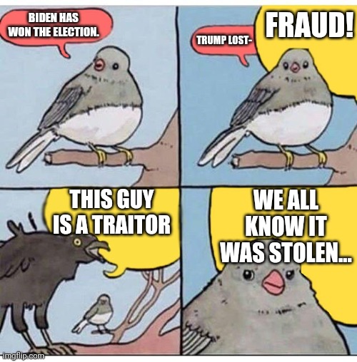 I can't believe I'm still hearing crap like this. It's time for this country to MOVE ON. | FRAUD! BIDEN HAS WON THE ELECTION. TRUMP LOST-; THIS GUY IS A TRAITOR; WE ALL KNOW IT WAS STOLEN... | image tagged in annoyed bird,politics | made w/ Imgflip meme maker