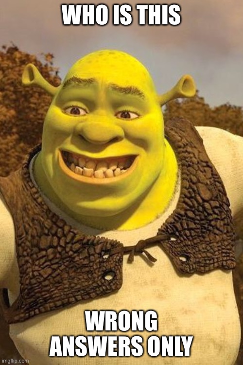 Smiling Shrek | WHO IS THIS; WRONG ANSWERS ONLY | image tagged in smiling shrek | made w/ Imgflip meme maker