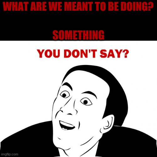 well that is right | WHAT ARE WE MEANT TO BE DOING? SOMETHING | image tagged in memes,you don't say,work,something | made w/ Imgflip meme maker