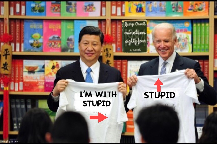 STUPID; I’M WITH STUPID | image tagged in politics lol | made w/ Imgflip meme maker