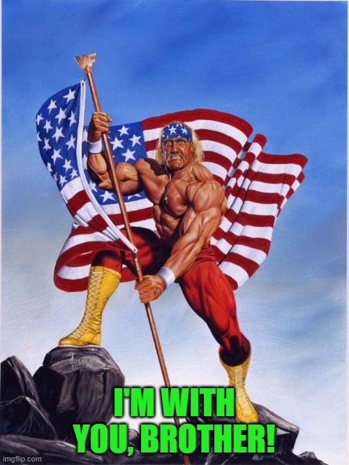 Hulk hogan merica  | I'M WITH YOU, BROTHER! | image tagged in hulk hogan merica | made w/ Imgflip meme maker