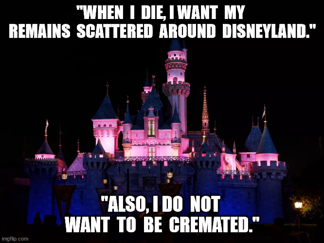 Scattered Remains | "WHEN  I  DIE, I WANT  MY  REMAINS  SCATTERED  AROUND  DISNEYLAND."; "ALSO, I DO  NOT  WANT  TO  BE  CREMATED." | image tagged in disneyland | made w/ Imgflip meme maker